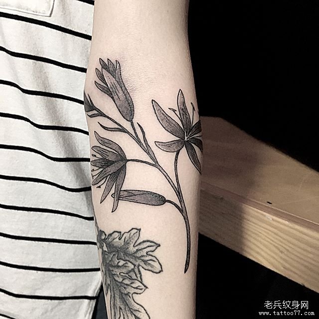手臂黑灰简笔植物纹身