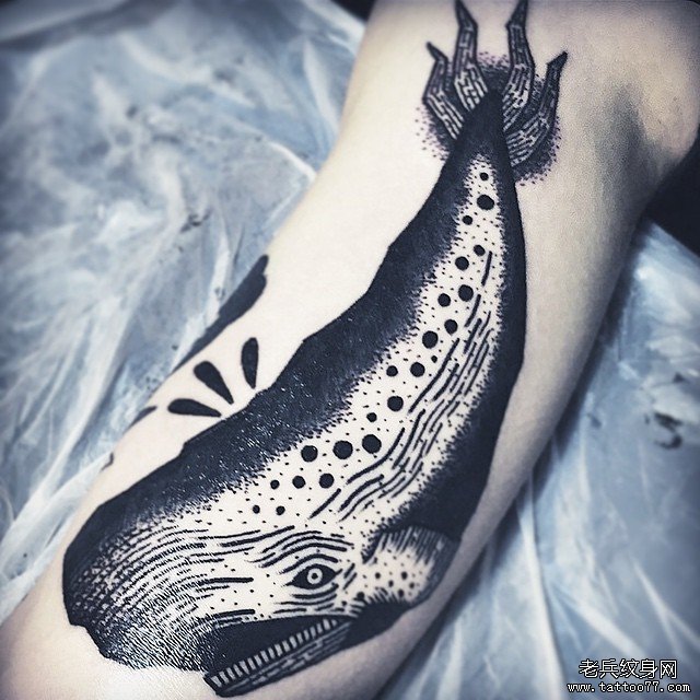 手臂鲸鱼纹身