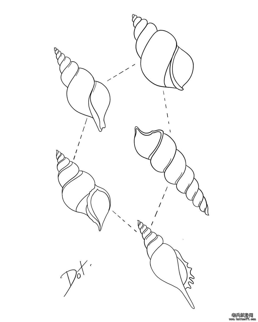 简笔海螺纹身手稿