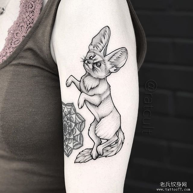 手臂简笔线条狐狸纹身