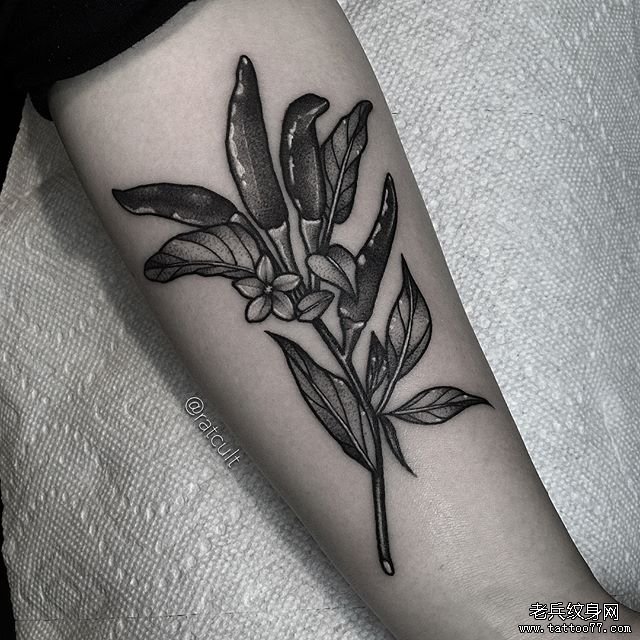 手臂黑灰花纹身