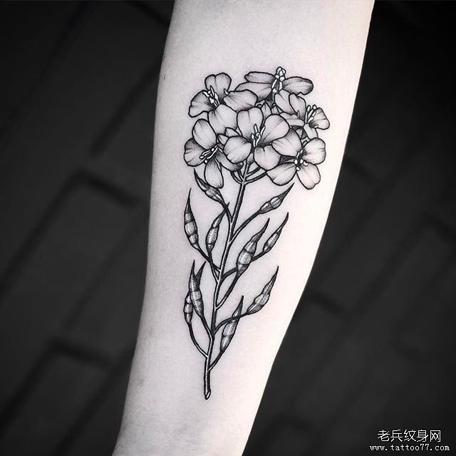 手臂简笔花卉纹身