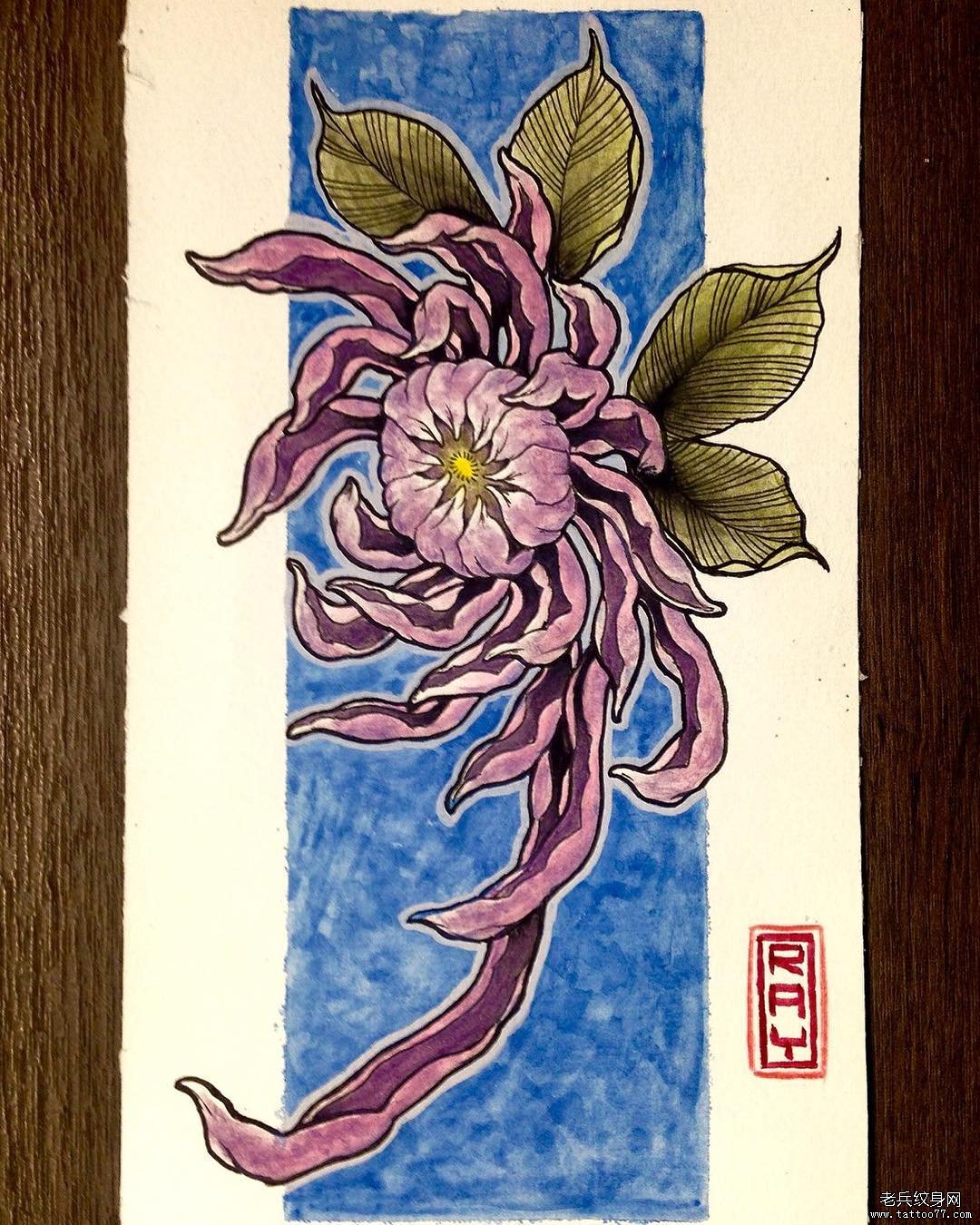 日式菊花纹身手稿