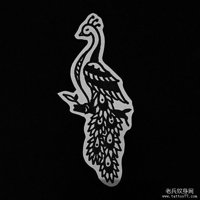 孔雀纹身手稿