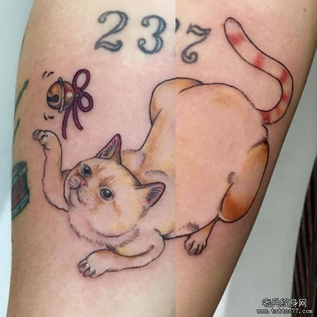 彩色猫咪纹身