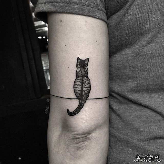 手臂小清新猫纹身