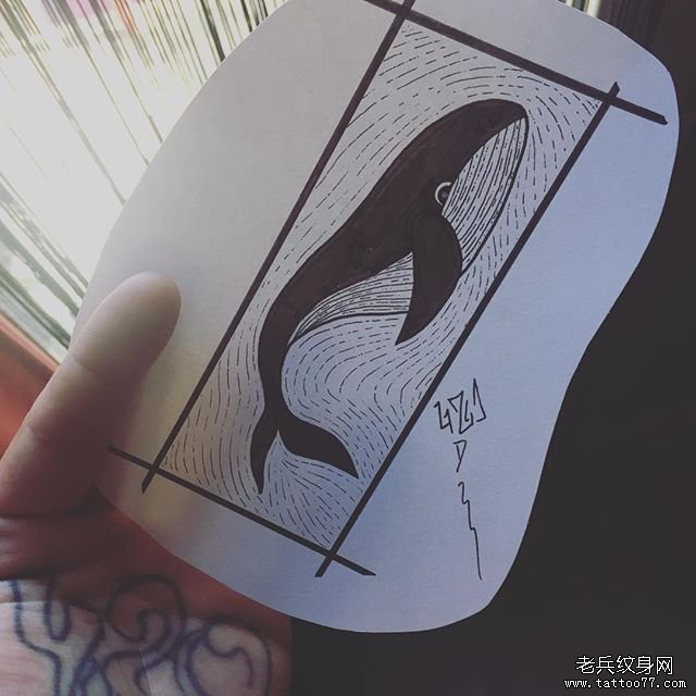 鲸鱼纹身手稿
