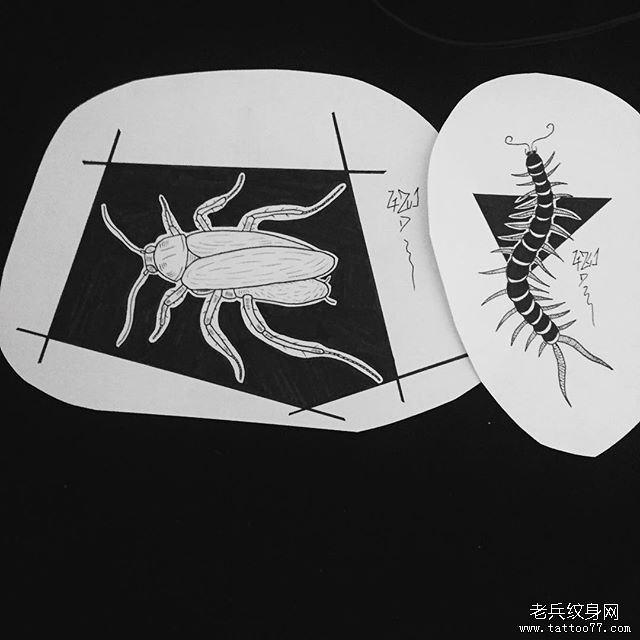 昆虫蜈蚣纹身手稿