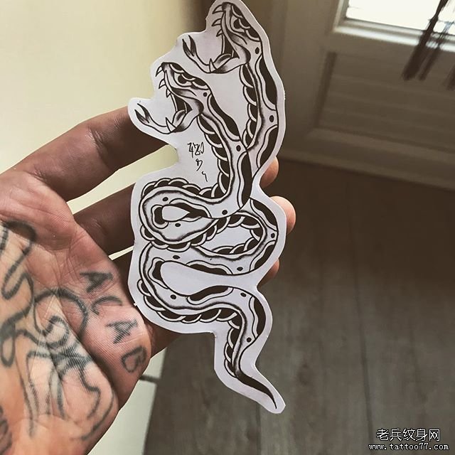 欧美蛇纹身手稿