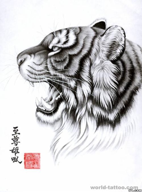 武汉老虎纹身图案大全：老虎纹身图案纹身图片