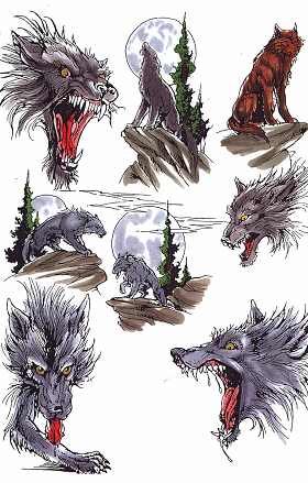 狼头纹身图案大全：滴血狼头纹身图案图片