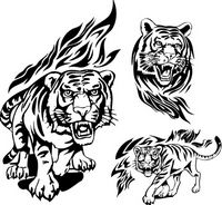 老虎纹身图案大全：图腾老虎纹身图案图片