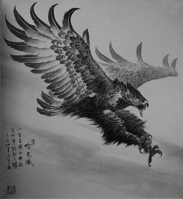 武汉纹身网：素描老鹰纹身图案图片