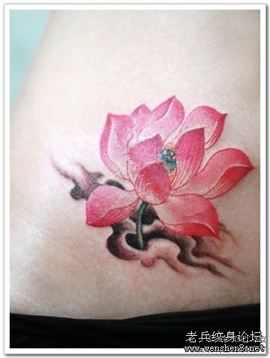 莲花纹身图案大全：腹部彩色莲花纹身图案纹身图片