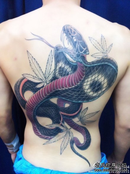 蛇纹身图案大全：背部蛇纹身图案纹身图片