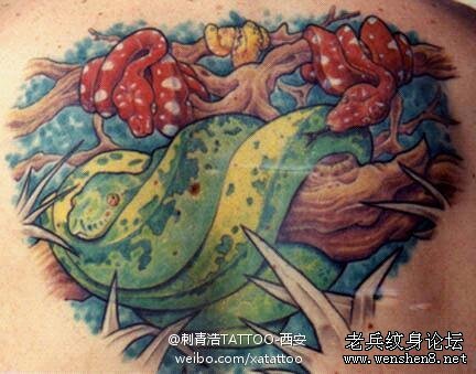 蛇纹身图案大全：彩色蛇纹身图案我纹身图片