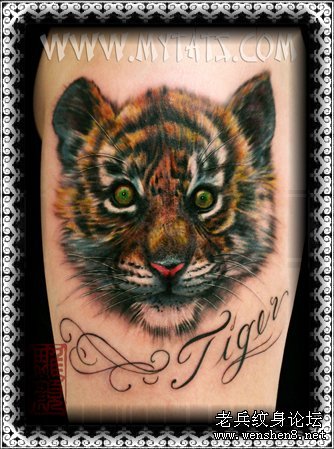 老虎纹身图案大全：手臂老虎纹身图案纹身图片