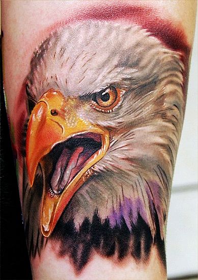老鹰纹身图案：手臂彩色老鹰纹身图案纹身图片