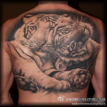 老虎纹身图案大全：背部老虎纹身图案纹身图片