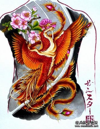 神兽纹身图案：满背彩色凤凰神兽纹身图案纹身图片