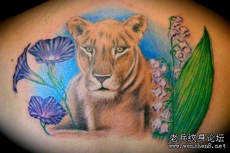 狮子纹身图案：背部彩色狮子狮子头纹身图案纹身图片