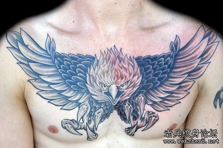 老鹰纹身图案：胸部老鹰纹身图案纹身图片