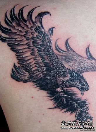 老鹰纹身图案：一款肩部雄鹰展翅纹身图案纹身图片