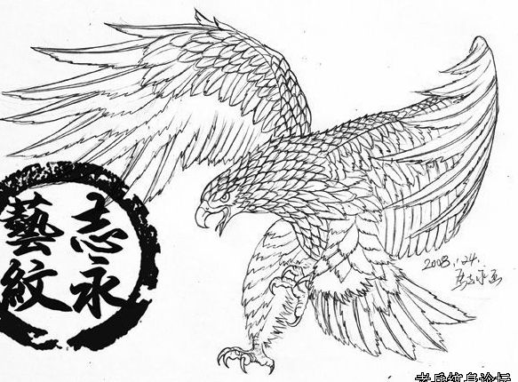 老鹰纹身图案：一款雄鹰展翅线稿纹身图案纹身图片
