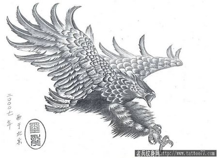 老鹰纹身图案：雄鹰展翅纹身图案纹身图片