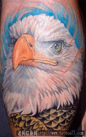 老鹰纹身图案：彩色老鹰纹身图案纹身图片