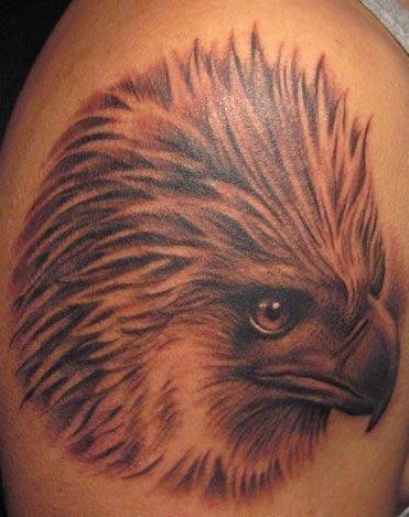 老鹰纹身图案：经典另类手臂老鹰头像纹身图案纹身图片