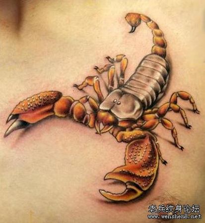 蝎子纹身图案：胸部彩色蝎子纹身图案纹身图片