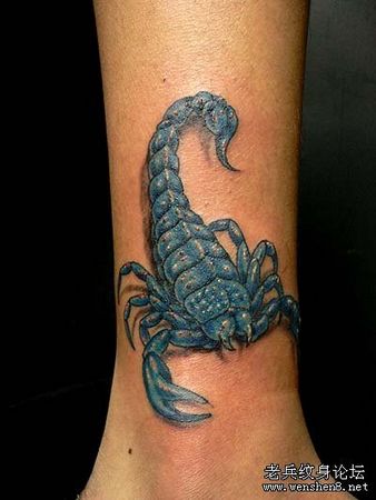 蝎子纹身图案：腿部彩色蝎子纹身图案纹身图片