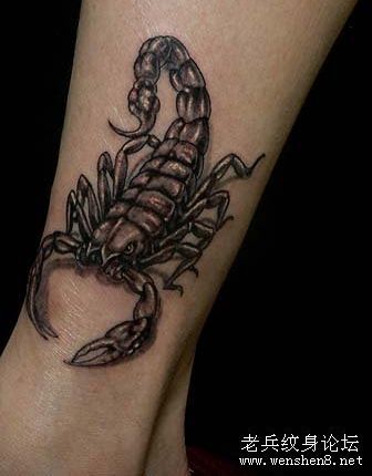 蝎子纹身图案：一款时尚经典腿部蝎子纹身图案纹身图片