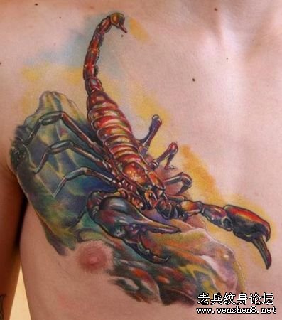 蝎子纹身图案：胸部3D彩色蝎子纹身图案纹身图片