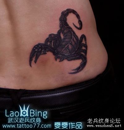 蝎子纹身图案：腰部蝎子纹身图案纹身图片