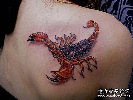 蝎子纹身图案：美女肩部彩色蝎子纹身图案纹身图片