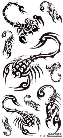 蝎子纹身图案：几款超帅的图腾蝎子纹身图案纹身图片