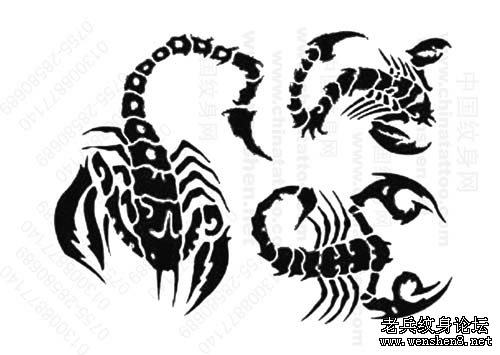 经典时尚几款图腾蝎子纹身图案纹身图片