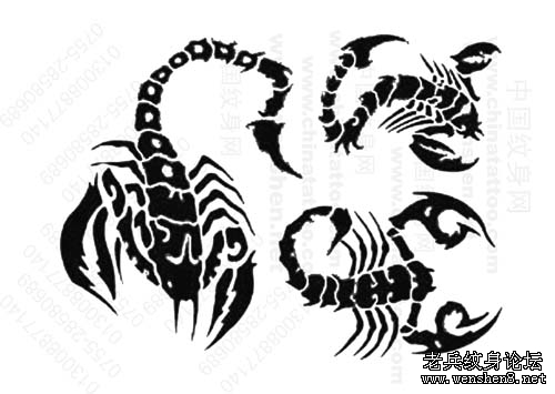 经典时尚几款图腾蝎子纹身图案纹身图片