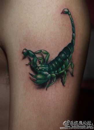 蝎子纹身图案：一款手臂彩色蝎子纹身图案纹身图片