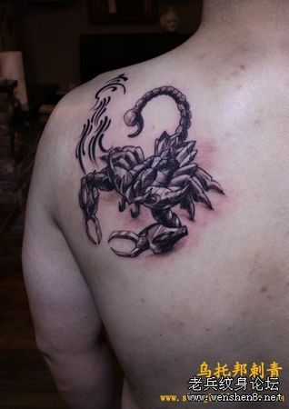 蝎子纹身图案：肩部机械蝎子纹身图案纹身图片