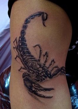 蝎子纹身图案：一款手臂蝎子纹身图案纹身图片