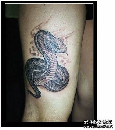 蛇纹身图案：一款腿部蛇纹身图案纹身图片
