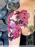 日本纹身师肩部彩色樱花纹身作品