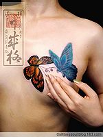 女人胸部彩色蝴蝶纹身图案作品展示