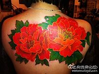 美女背部彩色牡丹纹身图案