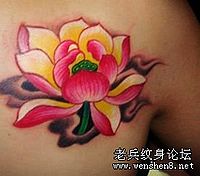 美女肩部彩色莲花纹身图案