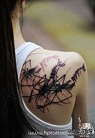 美女肩部水墨画龙虾纹身