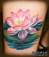 腿部3D彩色莲花荷叶纹身